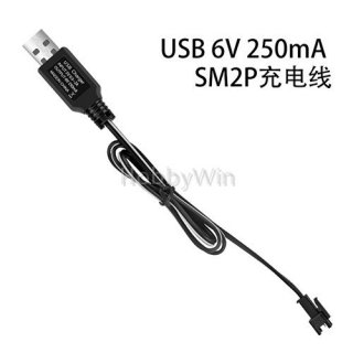 6V 250mA USB Charger SM-2P positive plug